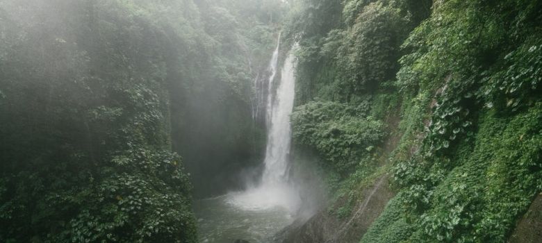 Overland Travel in Bali: The Best Ecotourism Experience