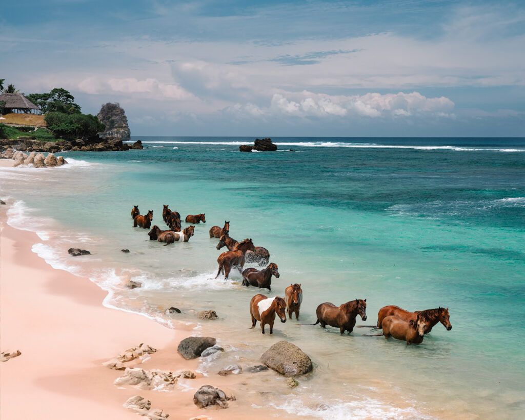 Amazing Sumba Island Tour – 4 Days 3 Nights (4D3N)