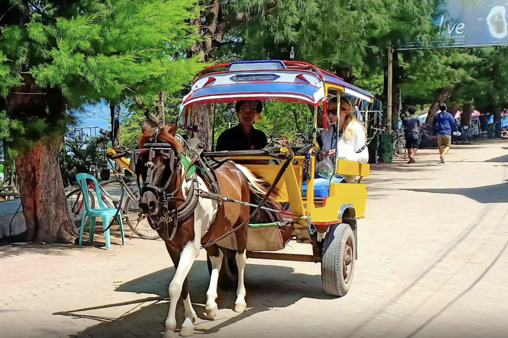 Three Gili Islands Tour – Snorkeling Day Trip to Gili Trawangan, Gili Meno & Gili Air