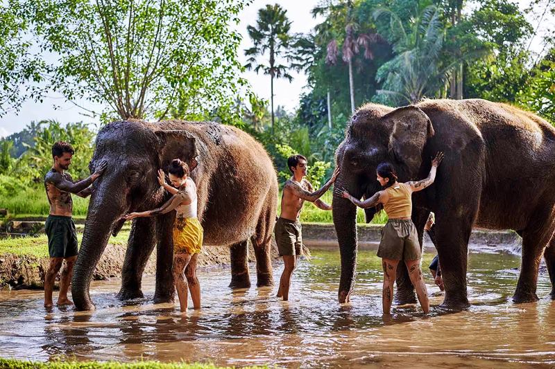 Bali Zoo, River Country Club & Water Fall With Lunch